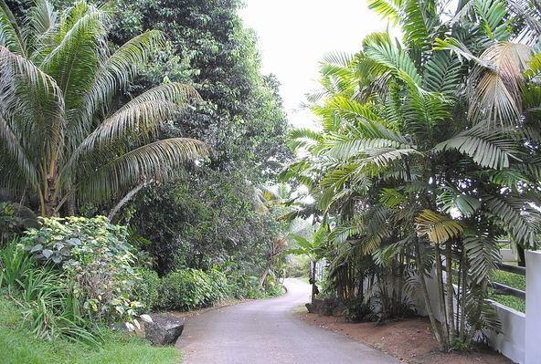 Kokogrove Chalets Anse Royale Extérieur photo